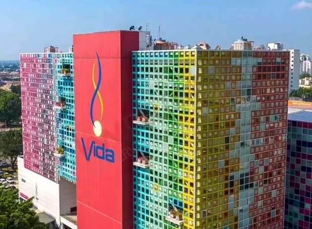 Vida Centro Profesional PH