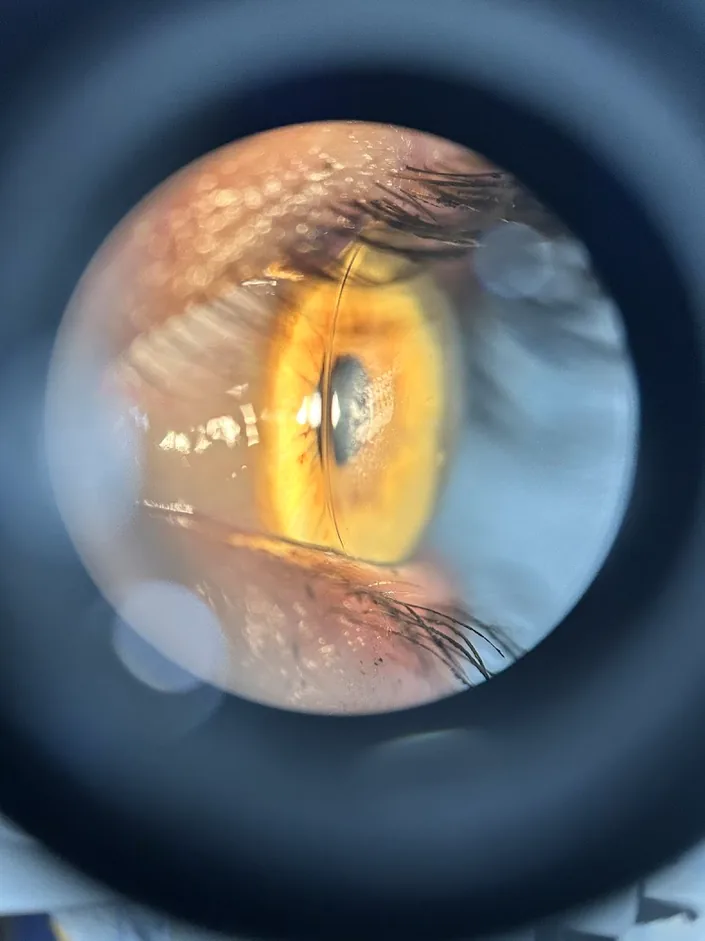 Dr Miguel Caceres | INNOVALENTES