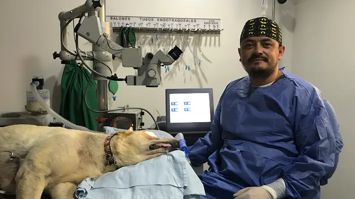 SOV Servicio Oftalmologico Veterinario
