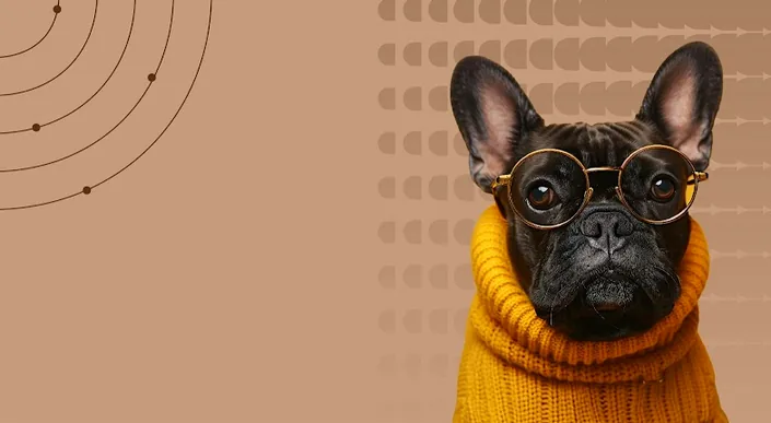ULULA® Oftalmología Veterinaria