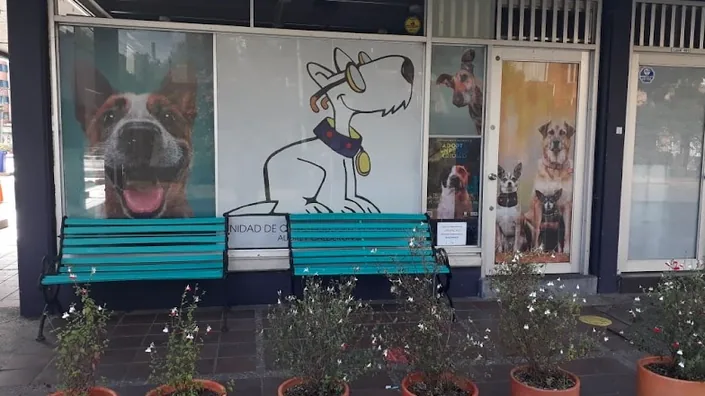 Unidad De Oftalmología Veterinaria